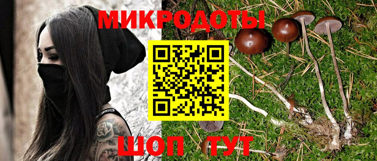 Псилоцибиновые грибы MAGIC MUSHROOMS  купить закладку  Галлюциногенные грибы Psilocybine cubensis  Тайшет  Вход с VPN 