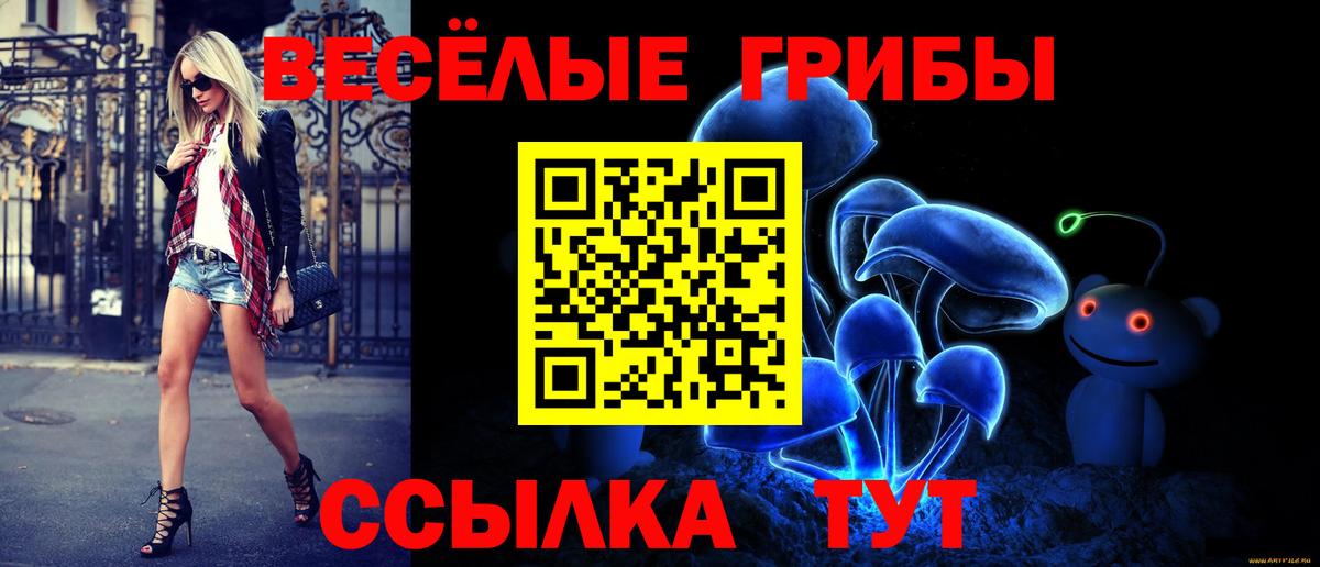 Псилоцибиновые грибы Magic Shrooms Тайшет